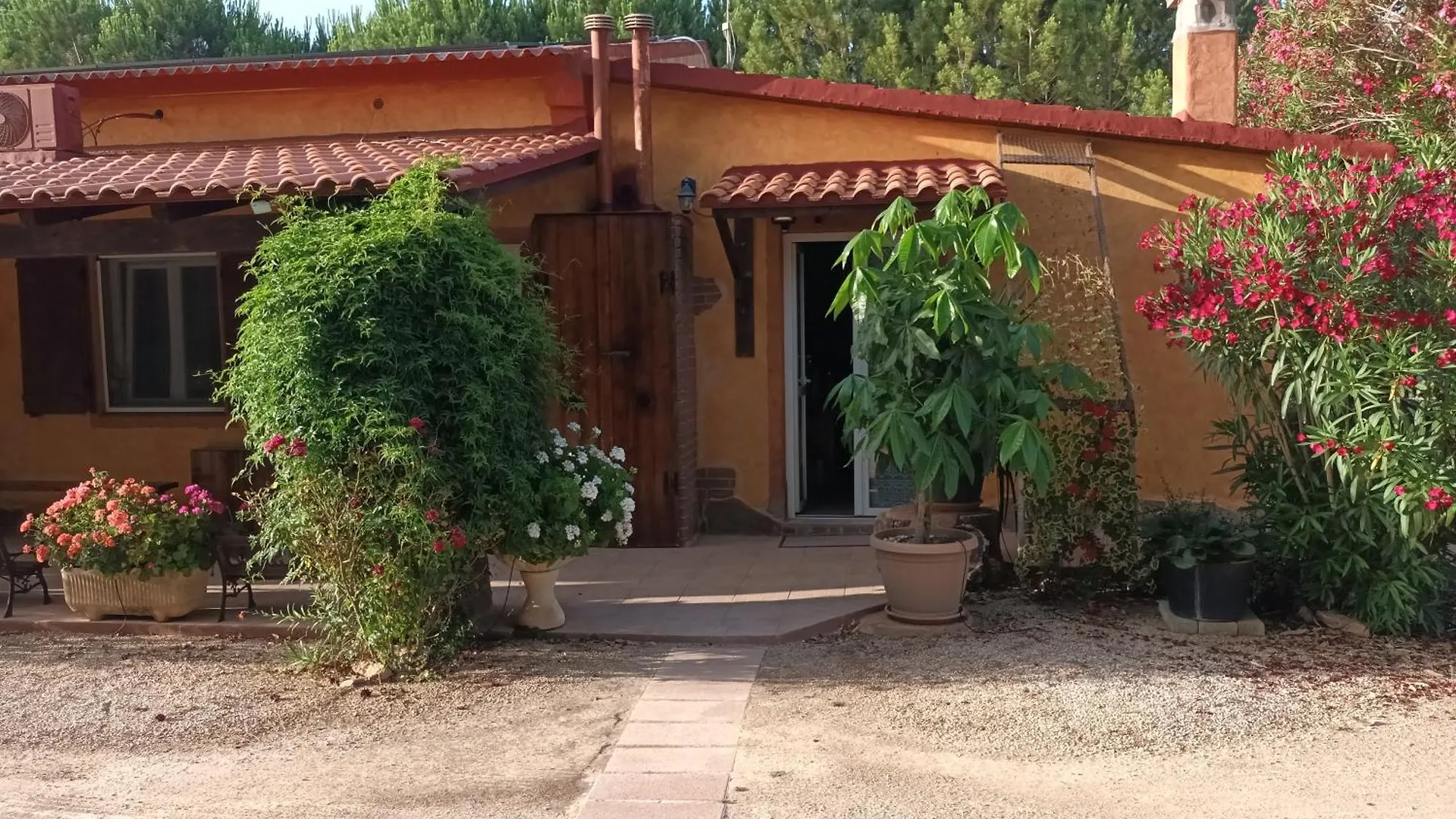 Gospodarstwo wiejskie Agriturismo La Barca In Secca Olmedo Włochy